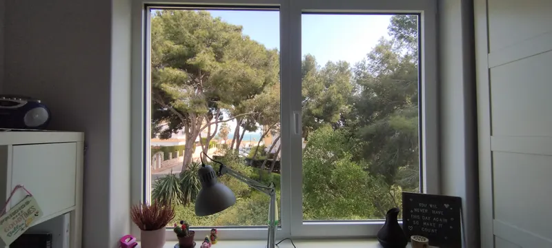 Schlafzimmer 3: Morgenlicht & Kiefernblick
