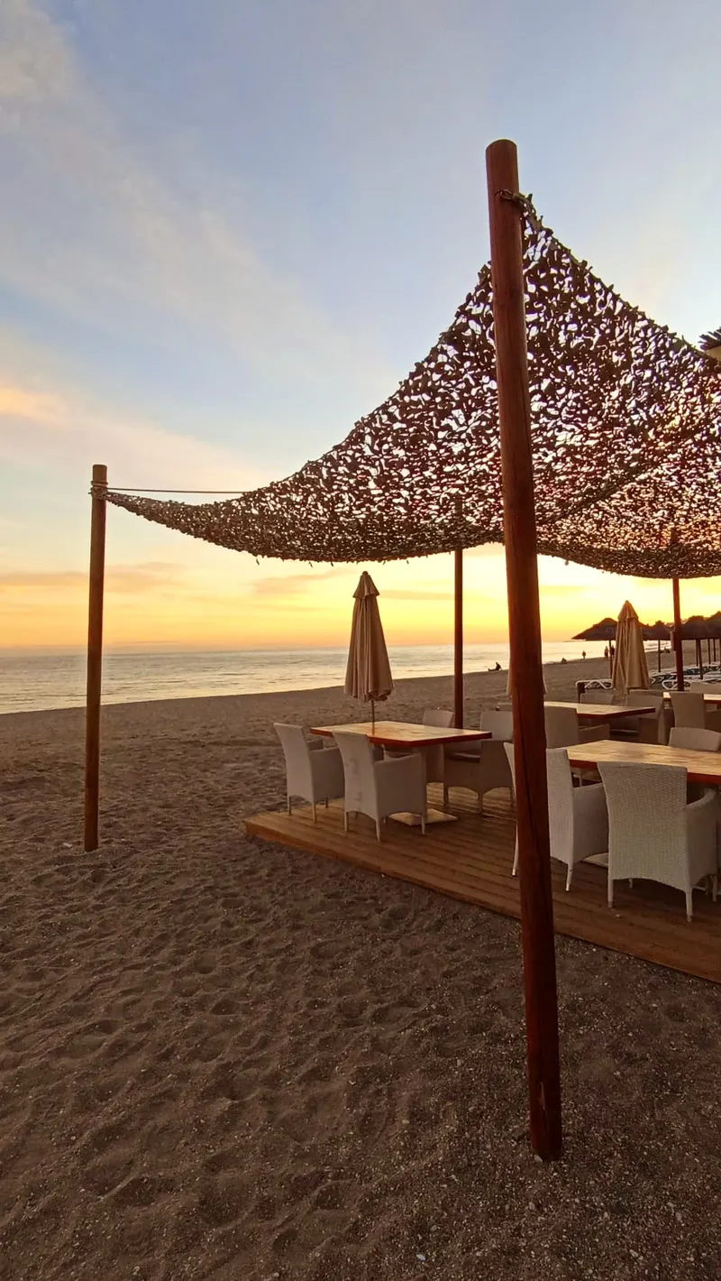 Traditional Beachside Chiringuito with Palm Trees